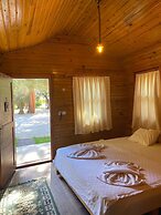Green Pine Beach & Bungalows
