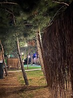 Green Pine Beach & Bungalows