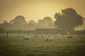 Overe - The Farm Camp