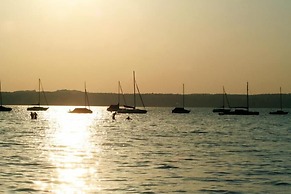 Fischerrosl