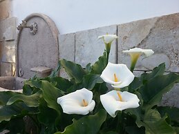 Barnaba Edera