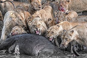 Mara Major Camp