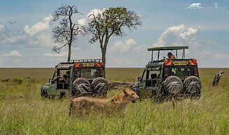 Mara Major Camp