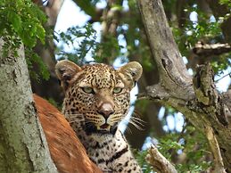 Mara Major Camp