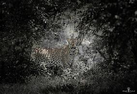 Mara Major Camp