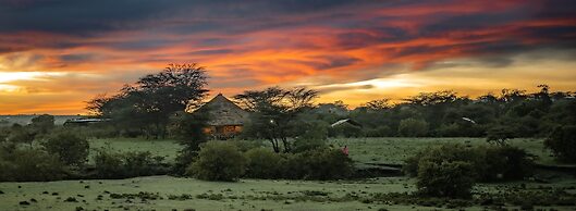 Mara Major Camp