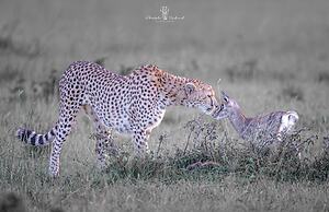 Mara Major Camp