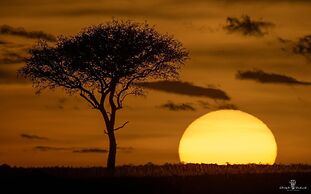 Mara Major Camp
