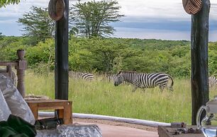 Mara Major Camp