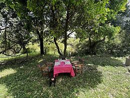Mara Major Camp