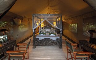 Mara Major Camp