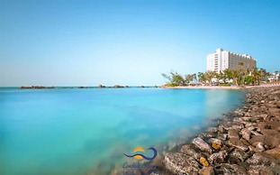 427 Pelican Studio