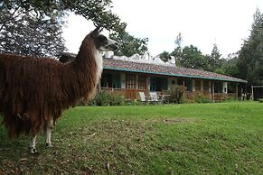 Las Palmeras Inn
