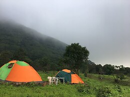 Canary Forest Camping