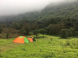Canary Forest Camping