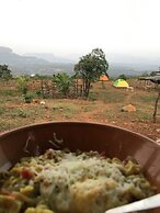 Canary Forest Camping