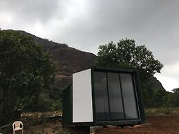 Canary Forest Camping