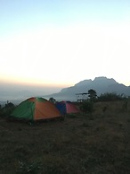Canary Forest Camping