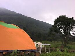 Canary Forest Camping
