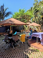 Palm Gardens and Guest House