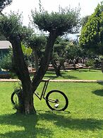 Drymades Resort