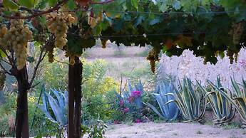 Tenuta Bartoli Maison de charme