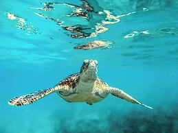 Ambergris Cay Private Island - All-Inclusive