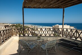 The Oasis Dive Resort