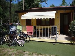 Camping Viareggio