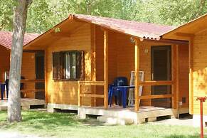 Camping Viareggio