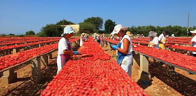B&B Rosso Salento