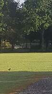 Thornbury Holiday Park