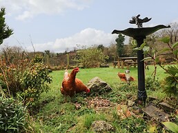 Barley Meadow