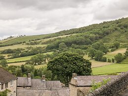 Field View