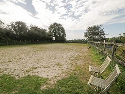 The Orchard