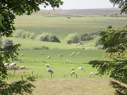 Pond Farm Woodlands