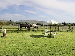 View The Gallery
