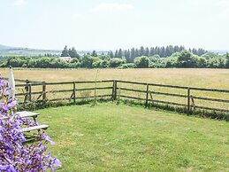 View The Gallery