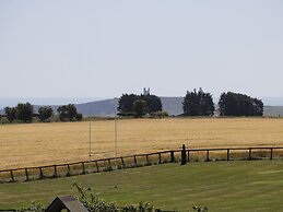 Newton View