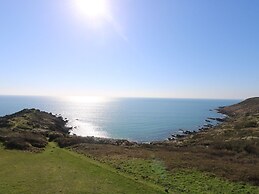 Gannet Watch