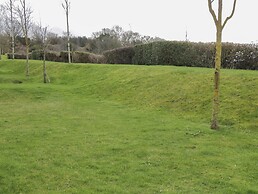 The Fox's Den