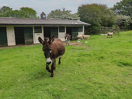 Woolly Welcome
