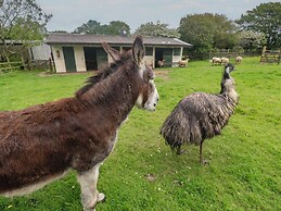 Woolly Welcome