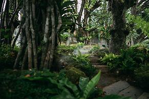 Forest Pool Villas
