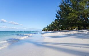 Lazy Beach House