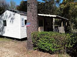 Camping l'Orée des Cevennes