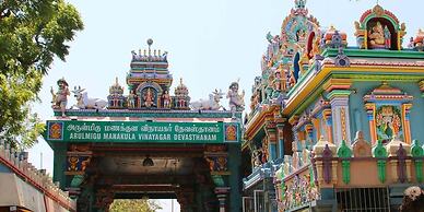 Hotel Surguru