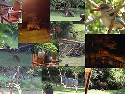 Elephant Coast Guest House