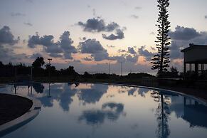 Coral Palms