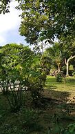 The royal bamboo lodge